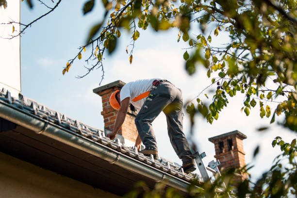 Professional Roofing Contractor in Lincoln, CA
