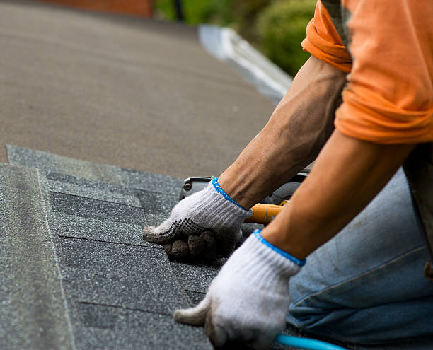 Best Roof Gutter Cleaning  in Lincoln, CA